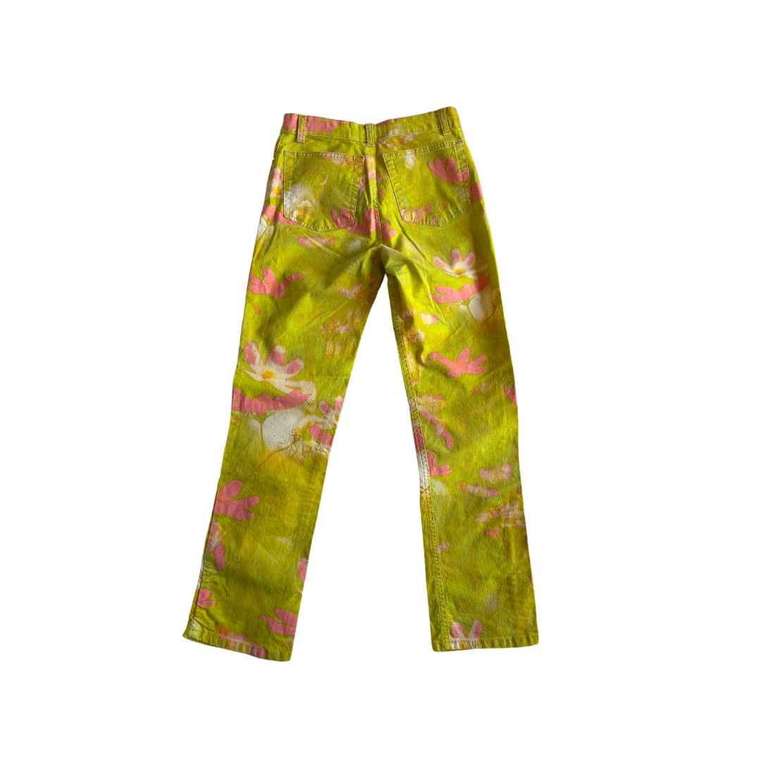 Roberto Cavalli Jeans