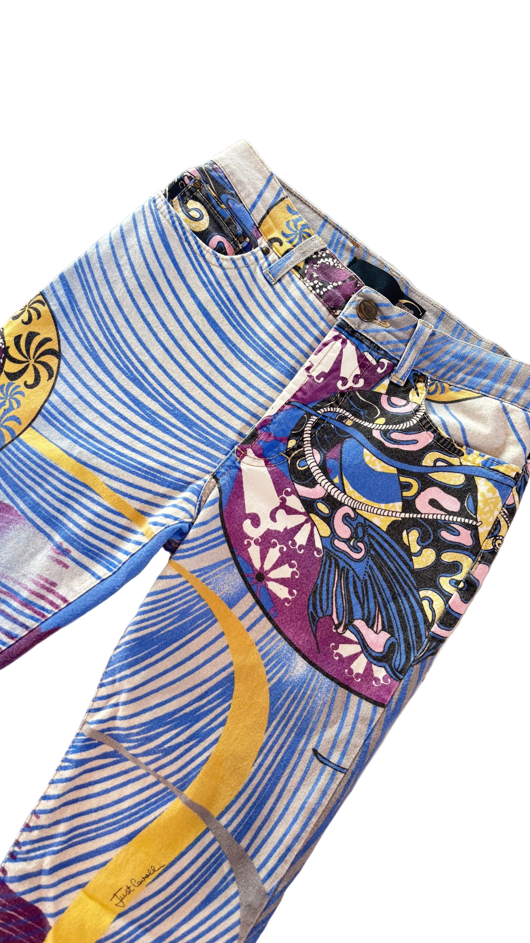 Multicolor Printed Just Cavalli Pants